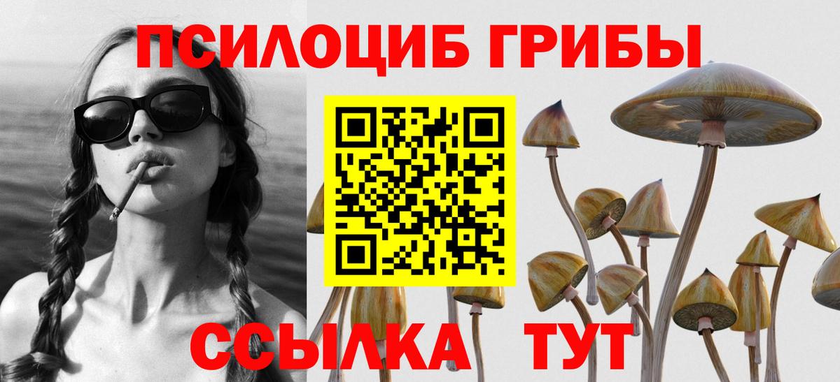 Стрежевой  Псилоцибиновые грибы прущие грибы  Вход с VPN 